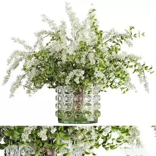 Plants - Shrubs - trees - potted plants