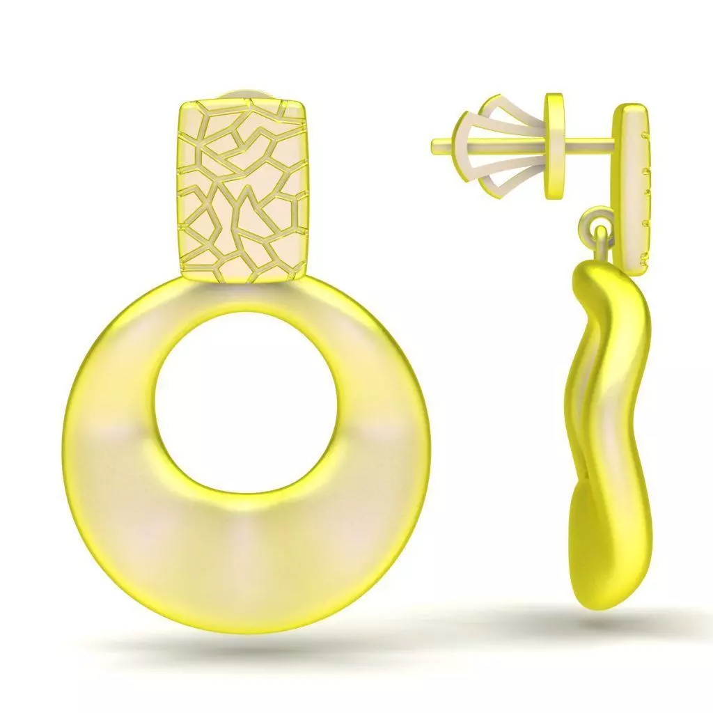 69a Modern Circular Statement Earrings for Women 3D print model