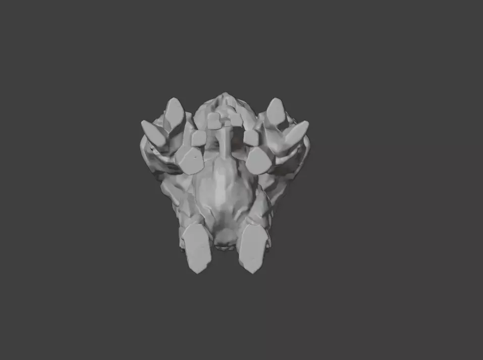 Crystalmourn Sentinel Low-poly 3D model_22
