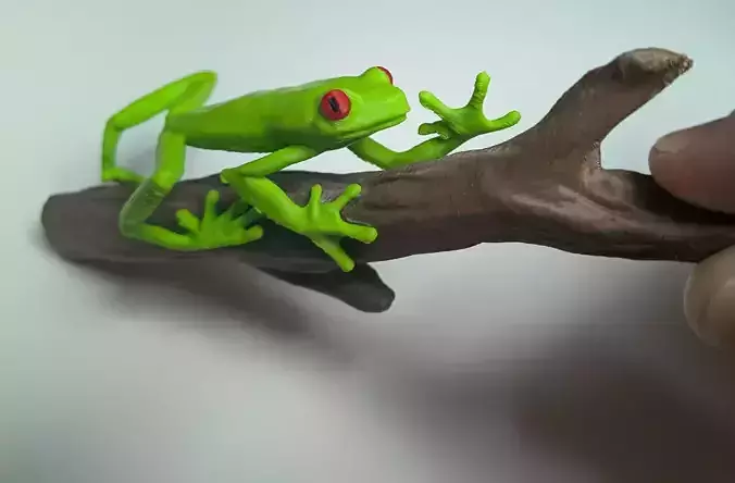 Red Eyed Tree Frogclimbing a stick