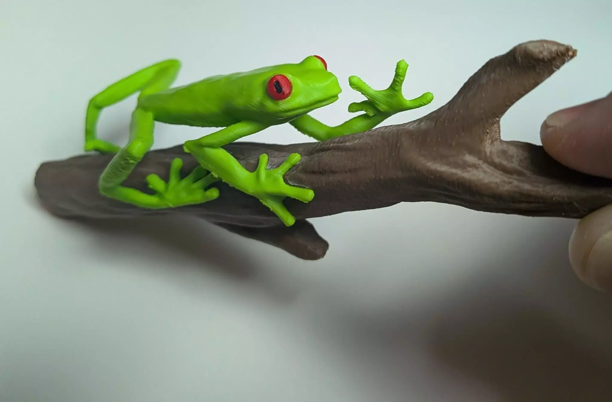 Red Eyed Tree Frogclimbing a stick 3D print model