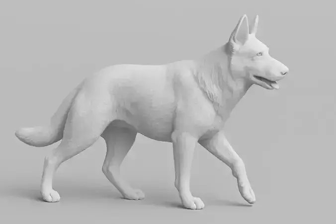 German Shepherd Walking Pose