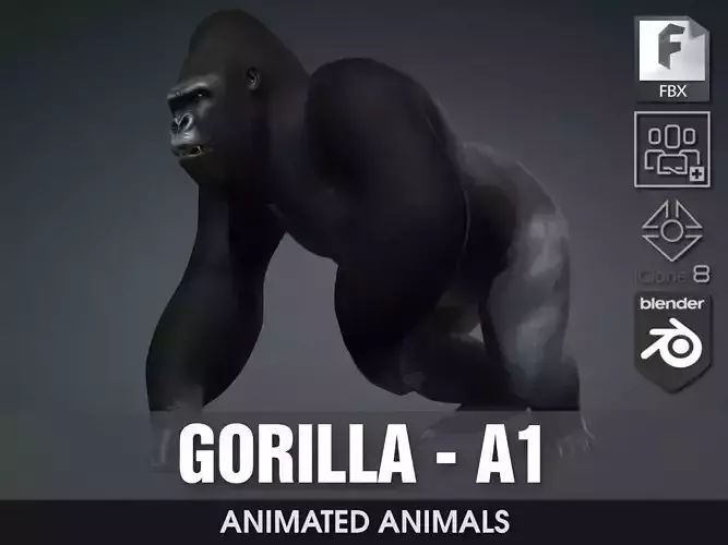 Gorilla-A1