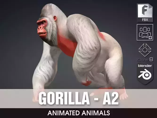 Gorilla-A2