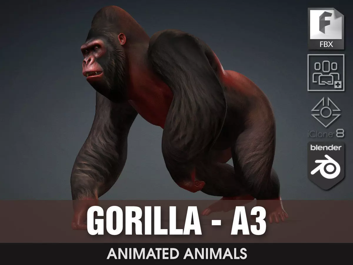 Gorilla-A3 3D model_0