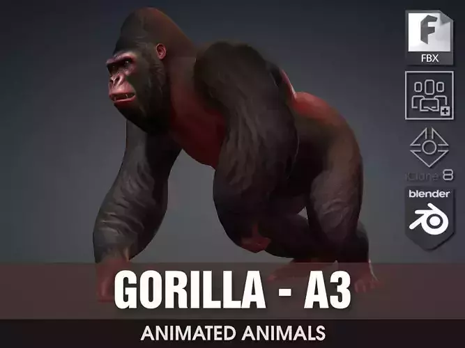 Gorilla-A3