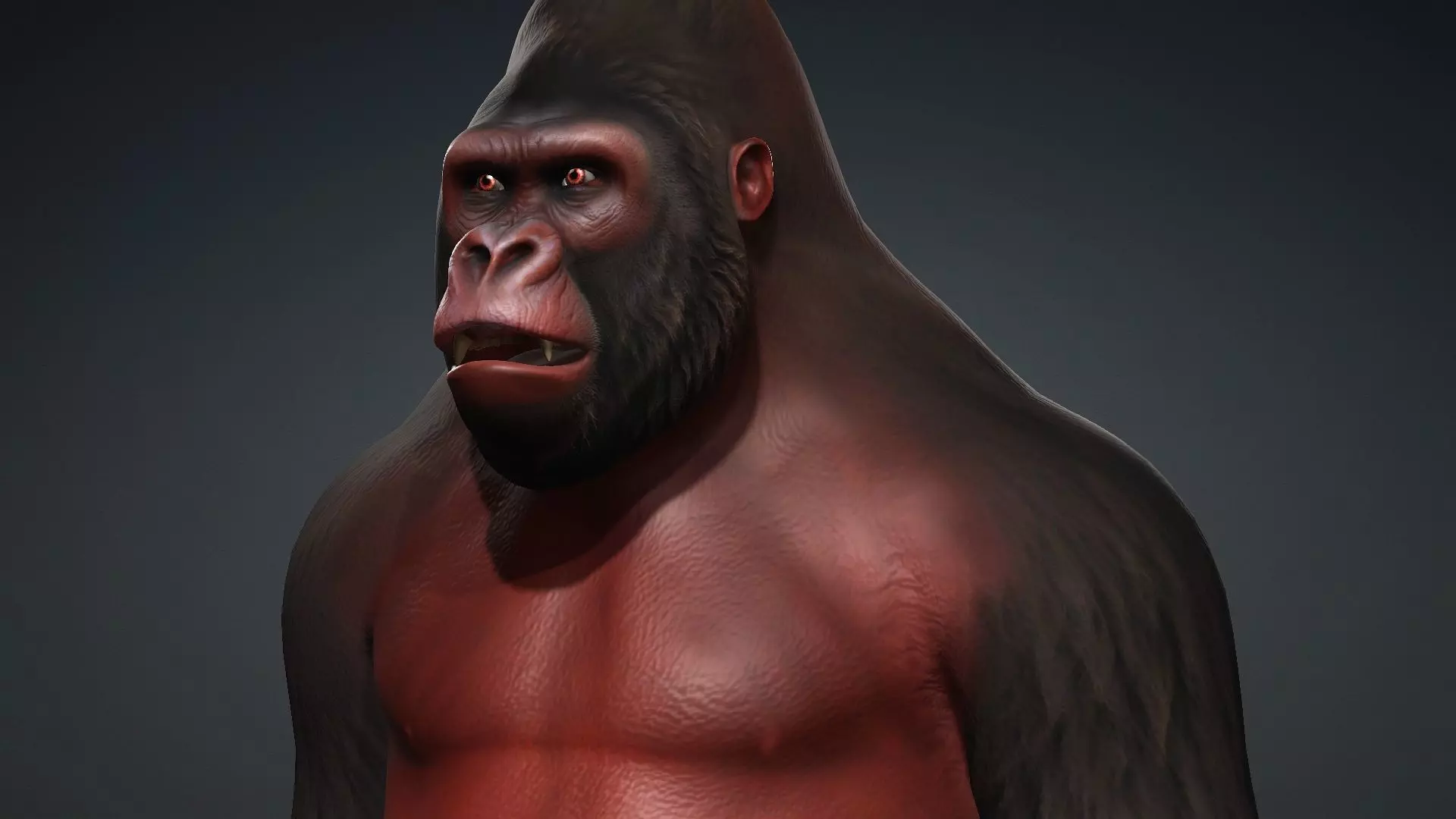 Gorilla-A3 3D model_11