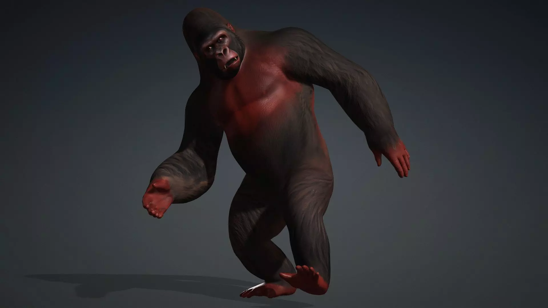 Gorilla-A3 3D model_9