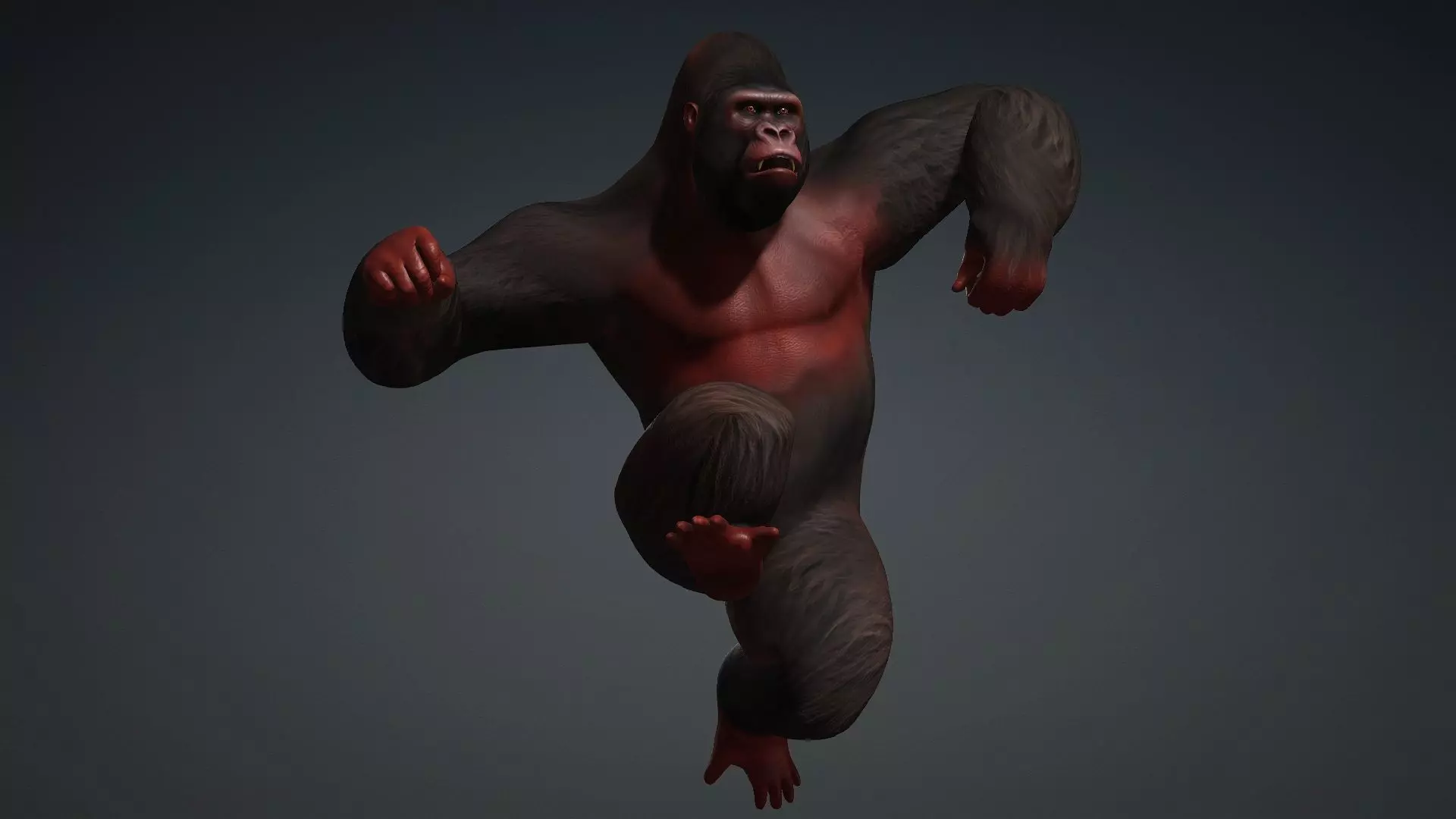 Gorilla-A3 3D model_17