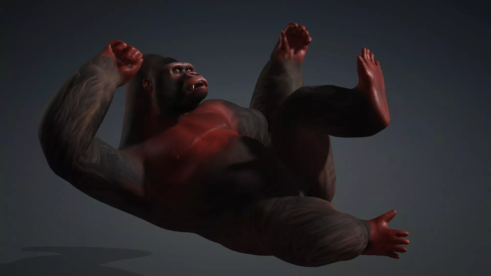 Gorilla-A3 3D model_5