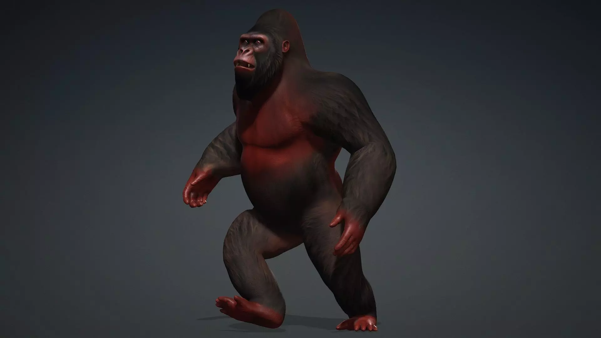 Gorilla-A3 3D model_8