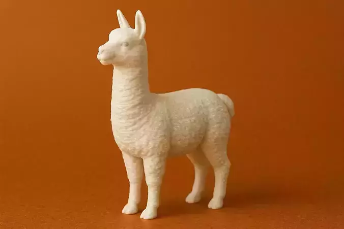 Llama Animal