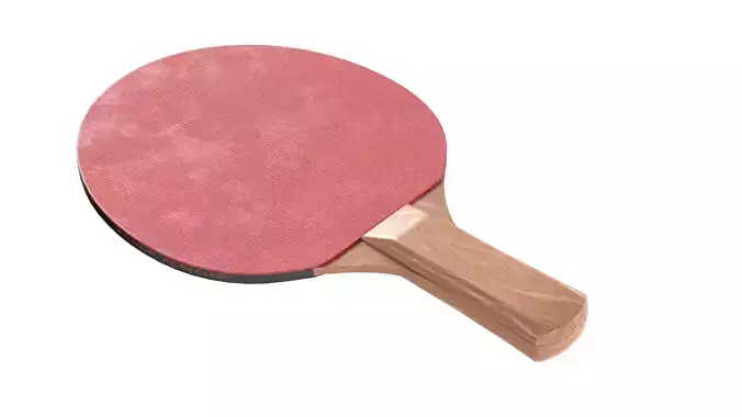Table Tennis Paddles 