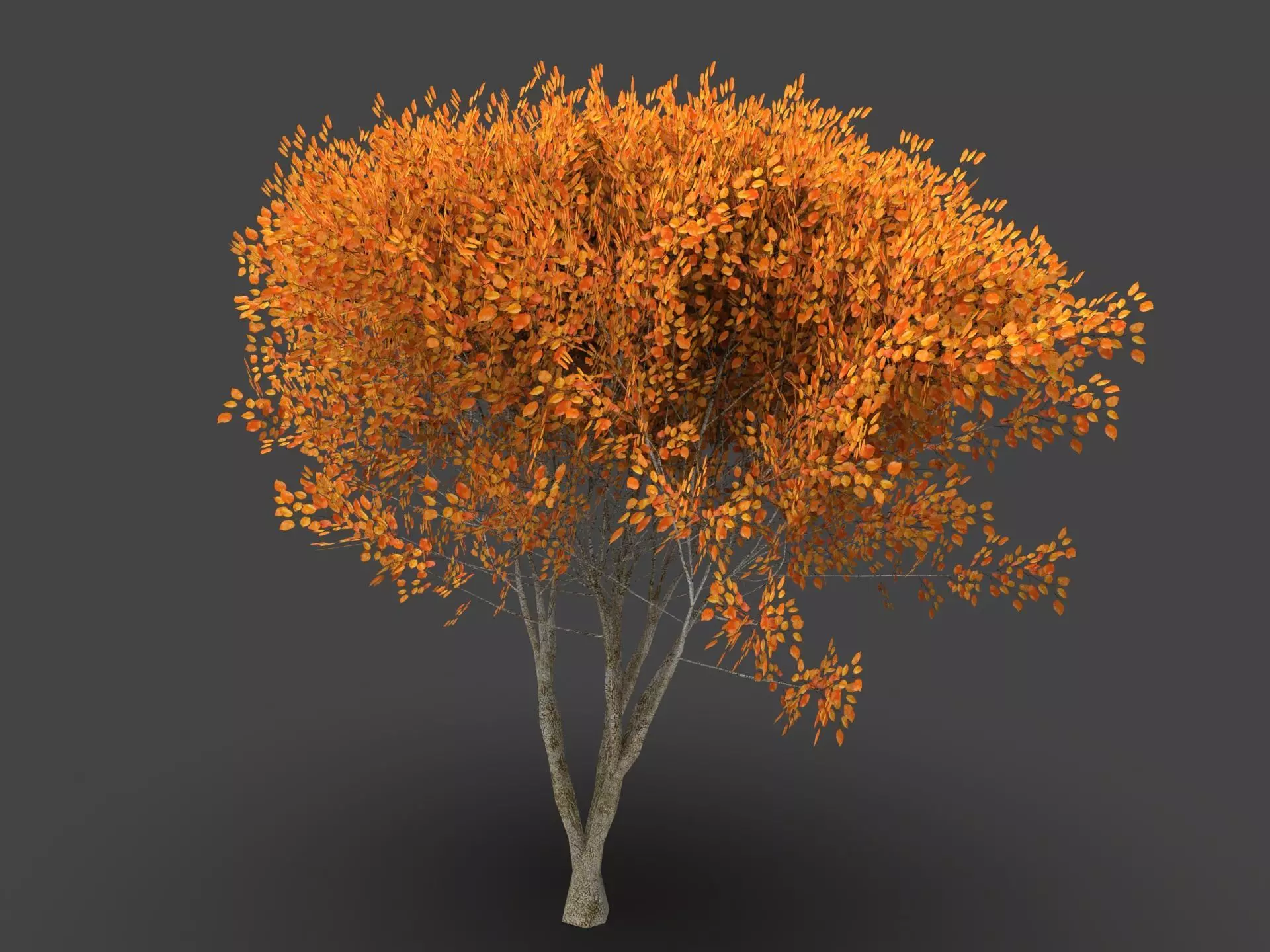  Tree Forest  3D model_1