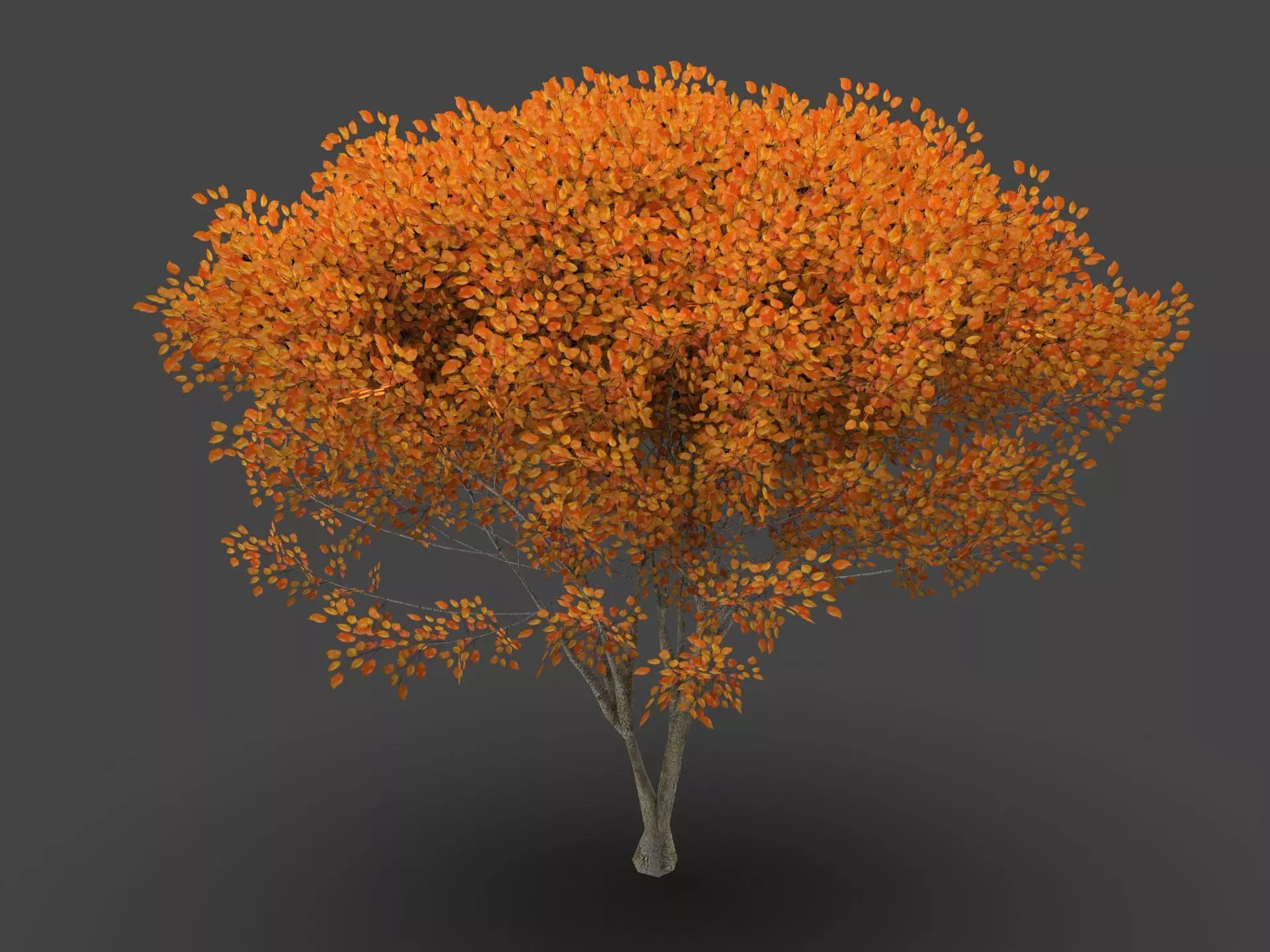  Tree Forest  3D model_3
