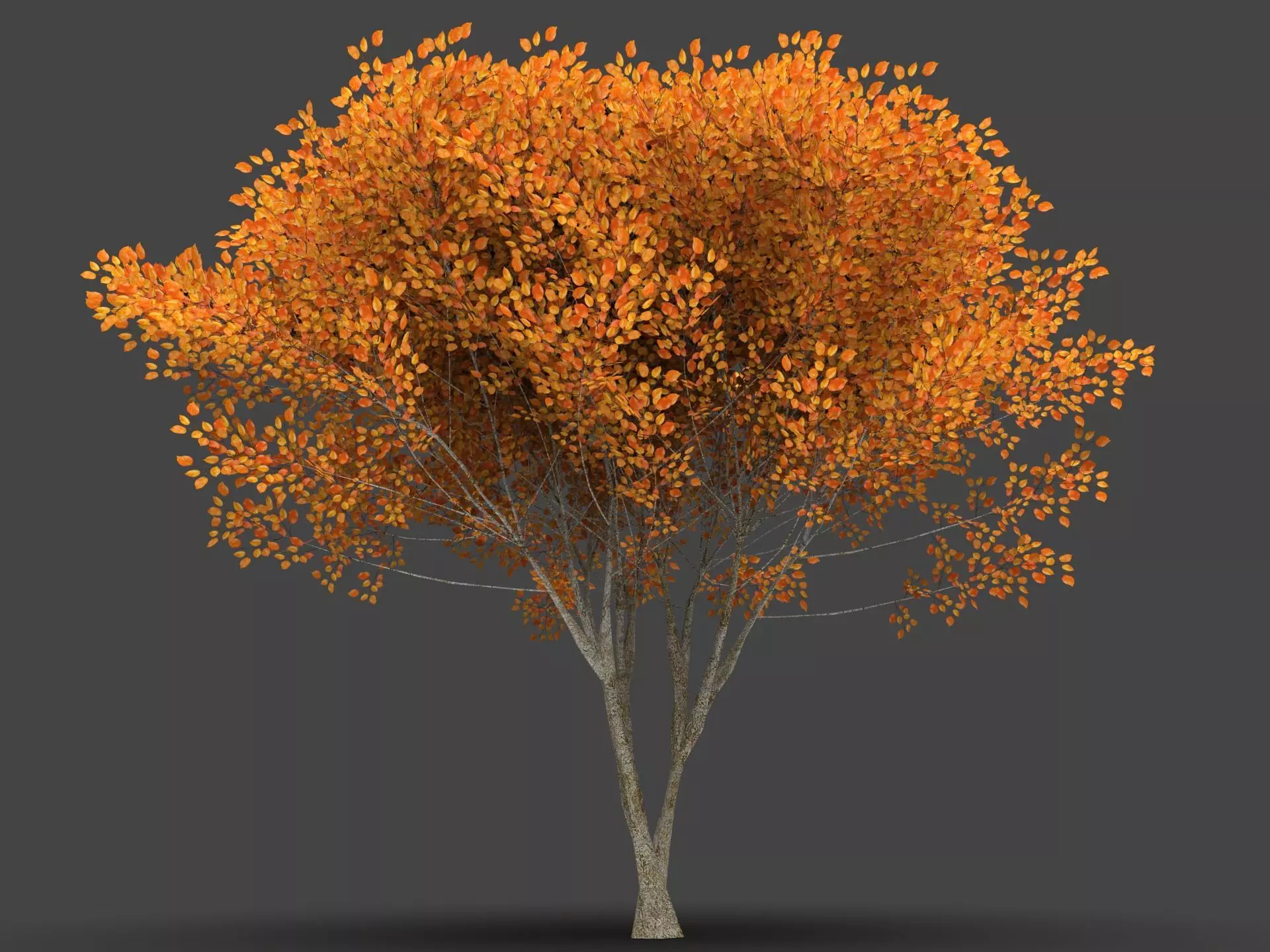  Tree Forest  3D model_4