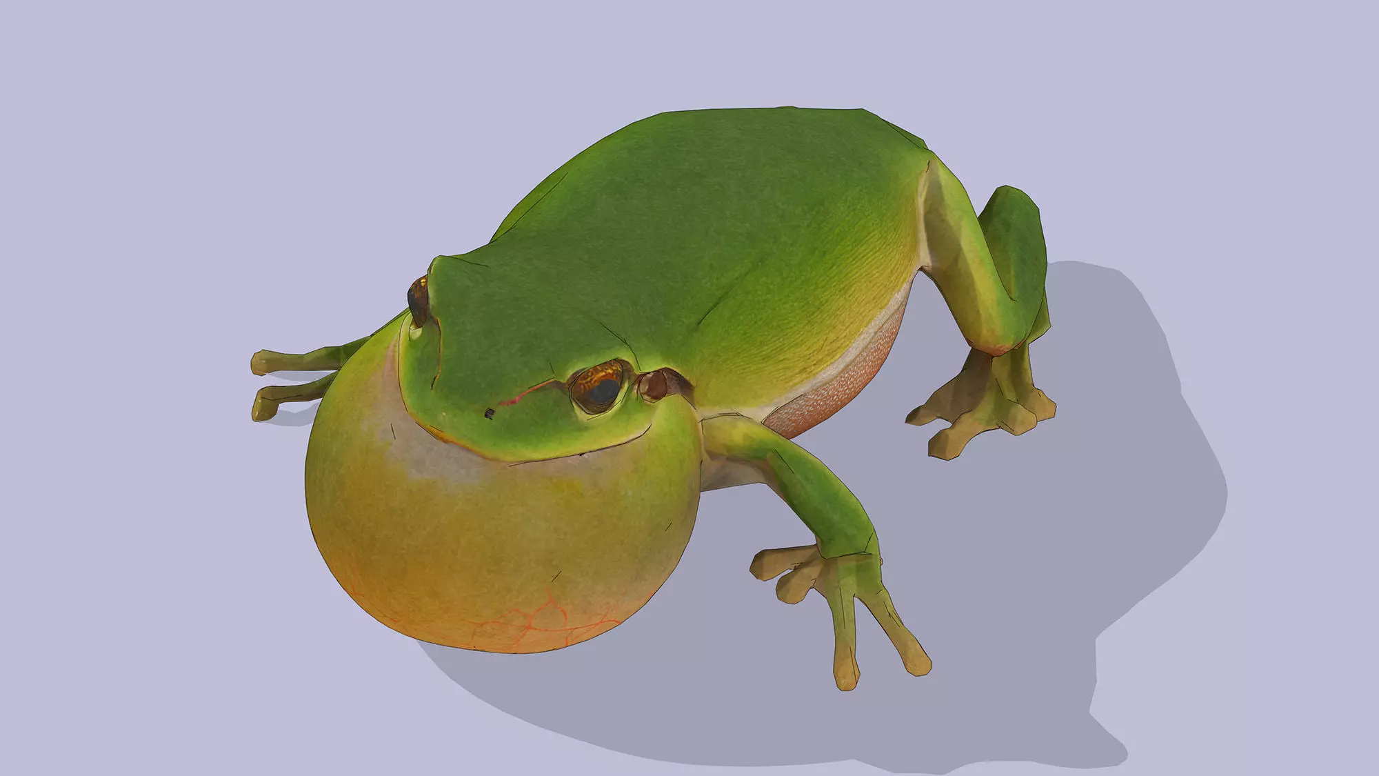 Singing Tree Frog Low-poly 3D model_5