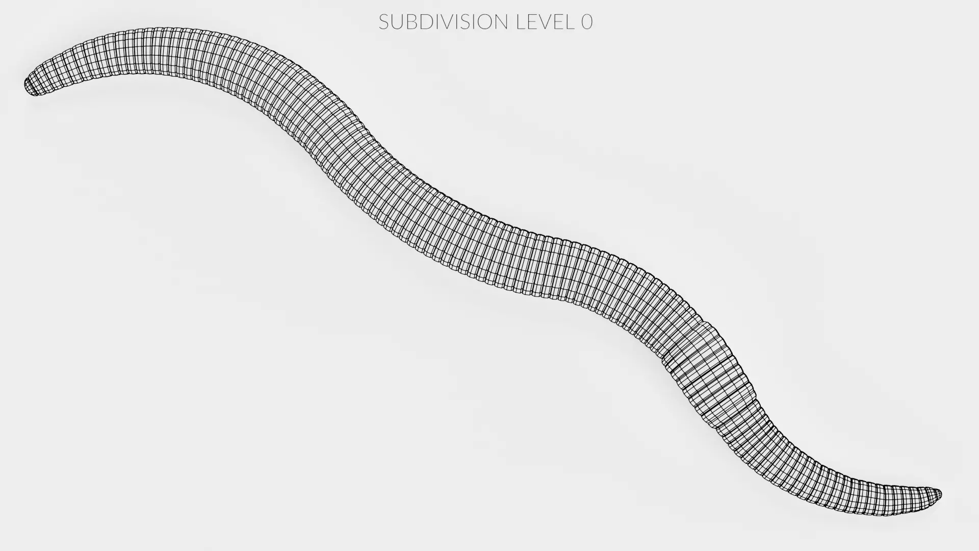 -Earthworm- 3D model_8