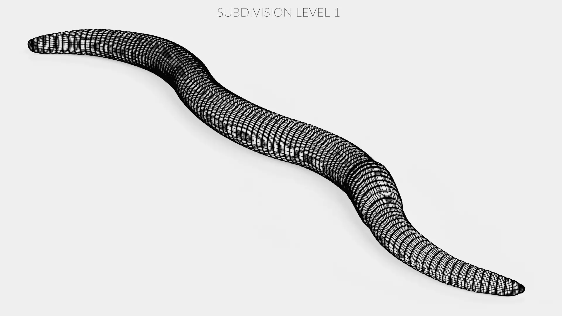 -Earthworm- 3D model_11
