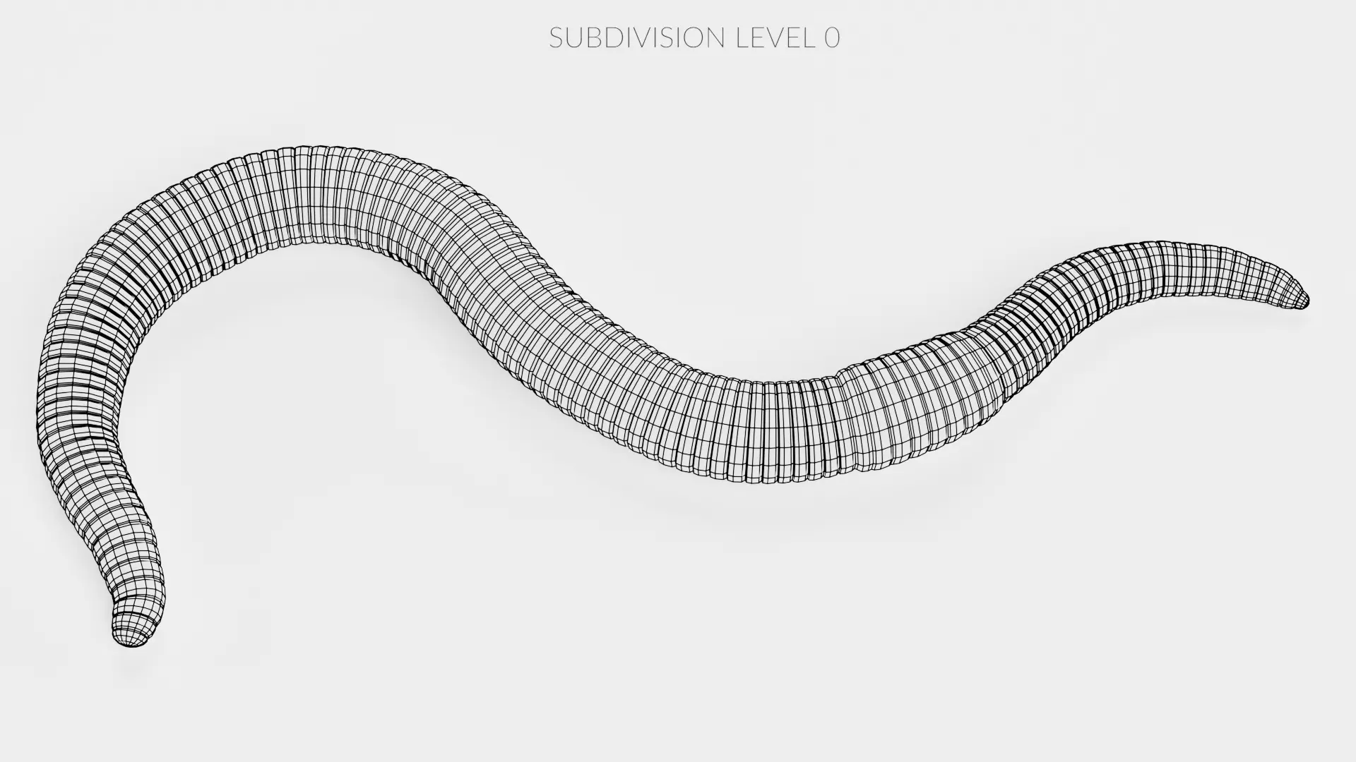 -Earthworm Rigged- 3D model_10