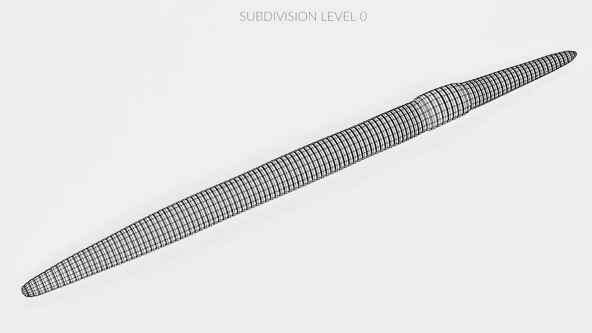 -Earthworm Rigged- 3D model_12