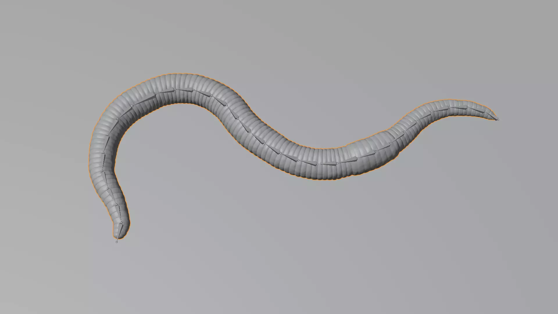 -Earthworm Rigged- 3D model_2