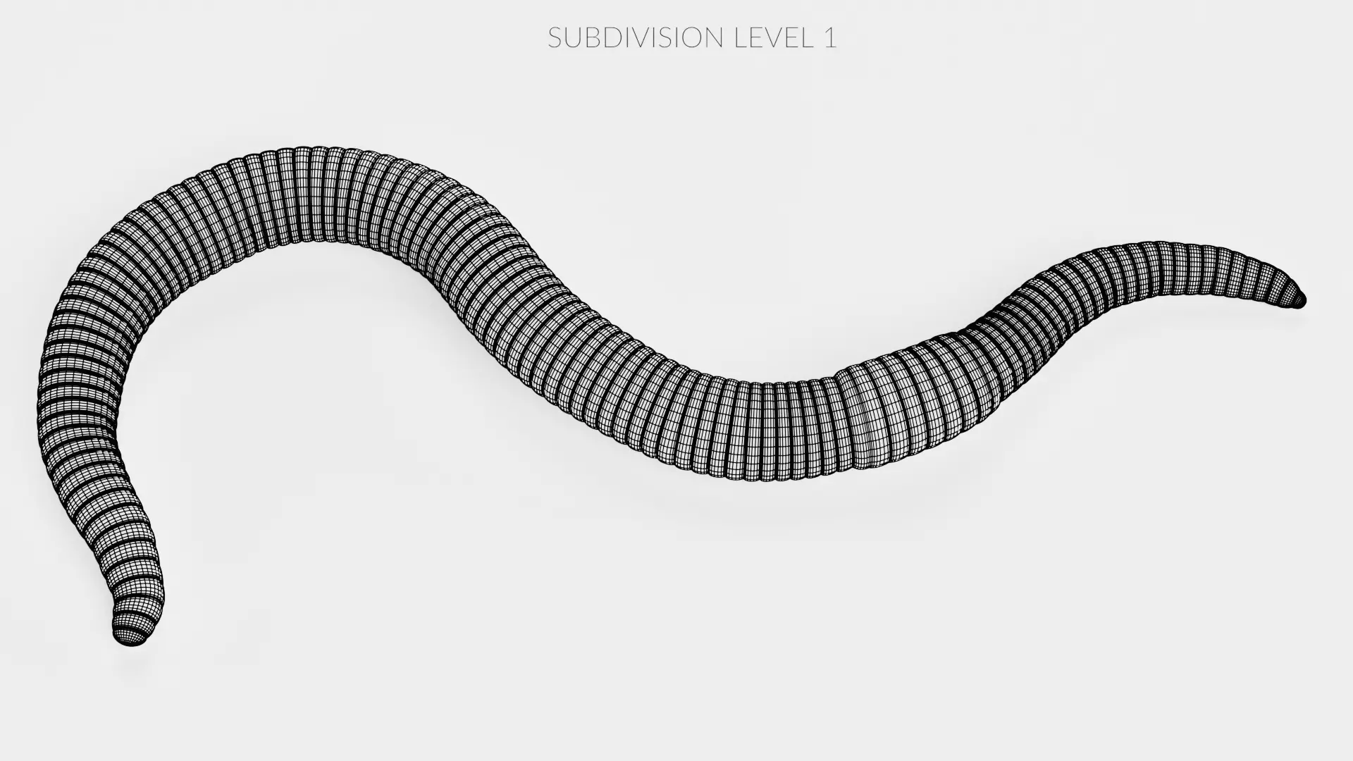 -Earthworm Rigged- 3D model_11
