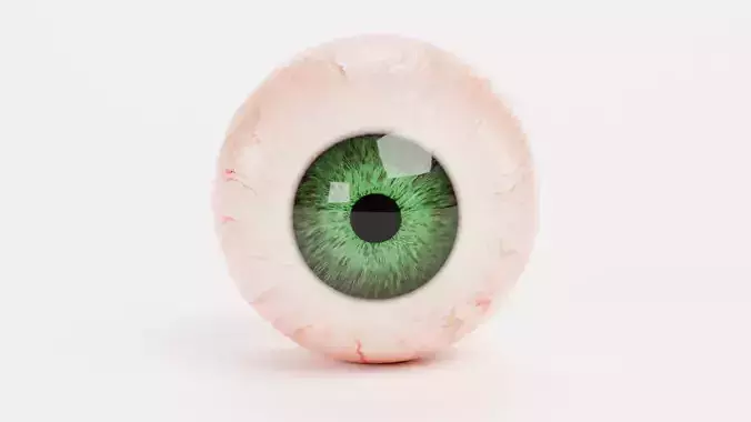 Human Eyeball with Green Iris - Realistic Anatomy 3D model