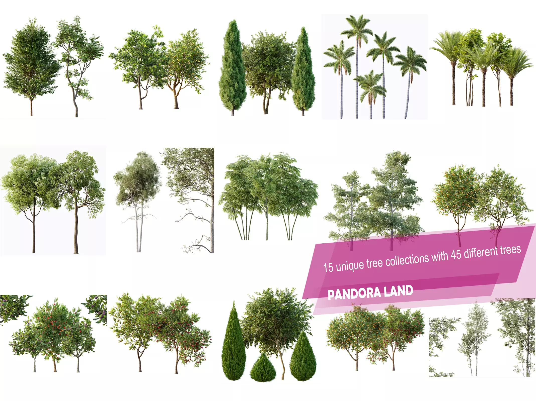 AV 15 unique tree collections with 45 different tree species _0