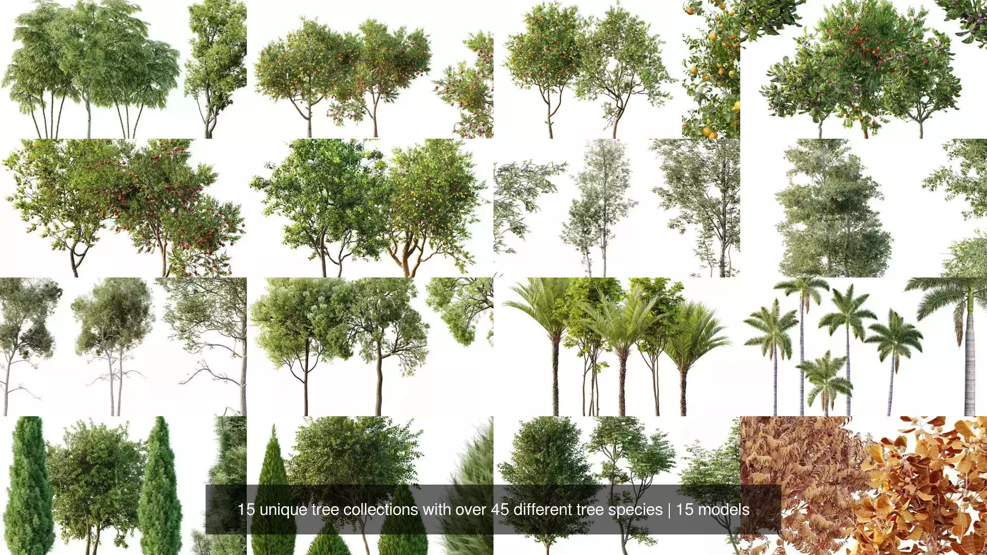 AV 15 unique tree collections with 45 different tree species _1