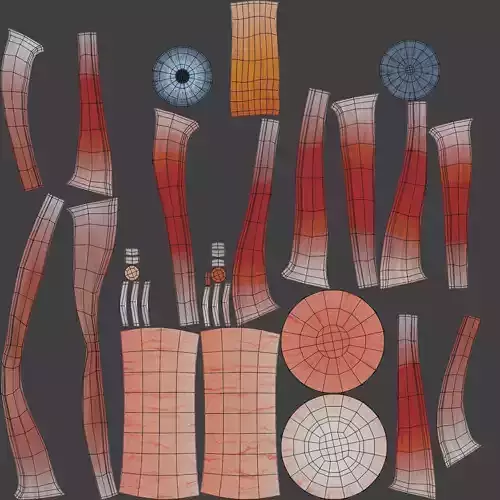 -Eyeball with Muscles-