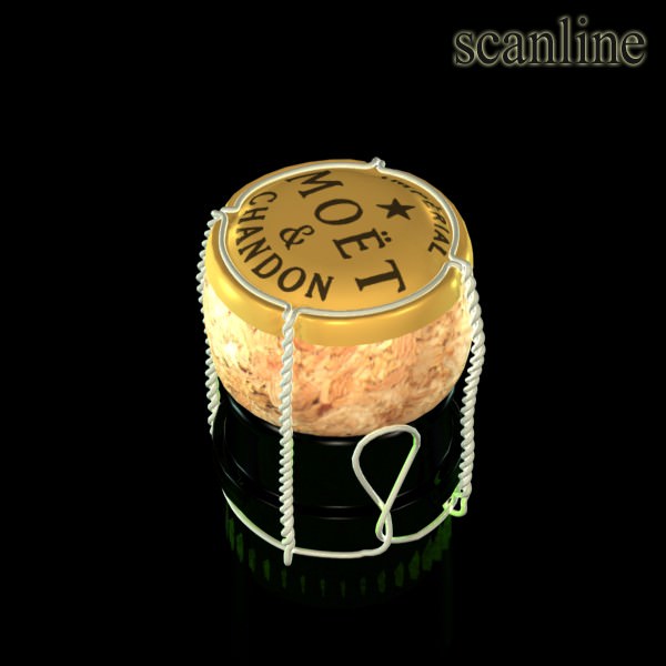 Champagne Moet Chandon Bottle 3D model_11