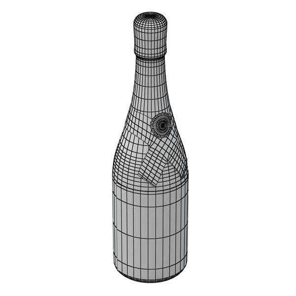 Champagne Moet Chandon Bottle 3D model_13