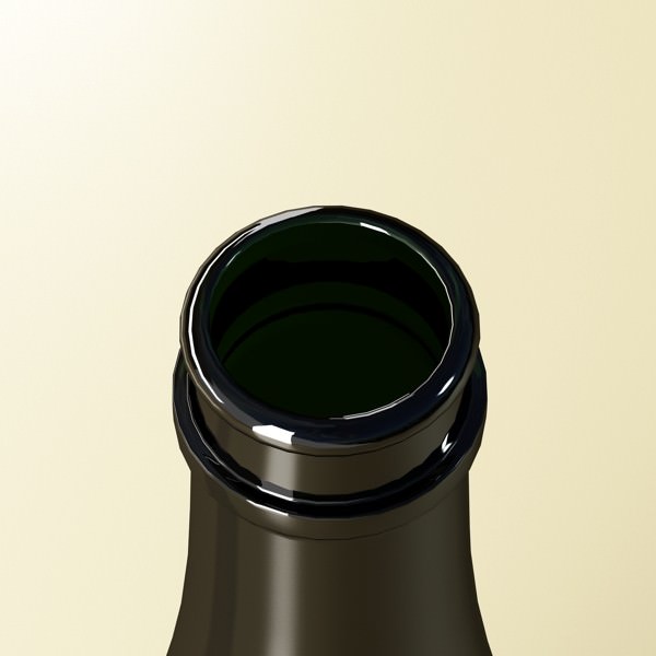 Champagne Moet Chandon Bottle 3D model_5