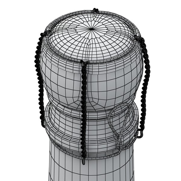 Champagne Moet Chandon Bottle 3D model_15