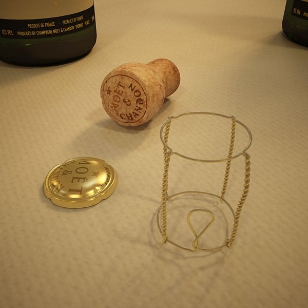 Champagne Moet Chandon Bottle 3D model_10