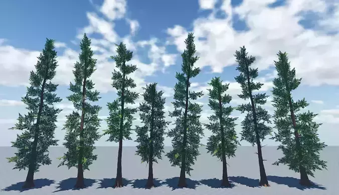 Realistic Sequoia Tree Pack Low-poly 3D model