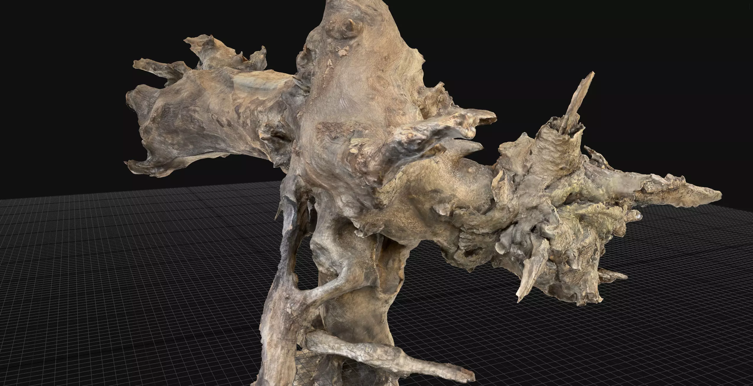Withered tree root wood 3d scan in highpoly 3D model_9