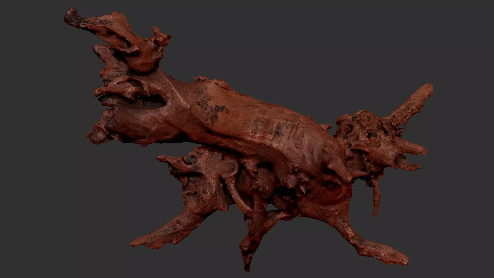 Withered tree root wood 3d scan in highpoly 3D model_12