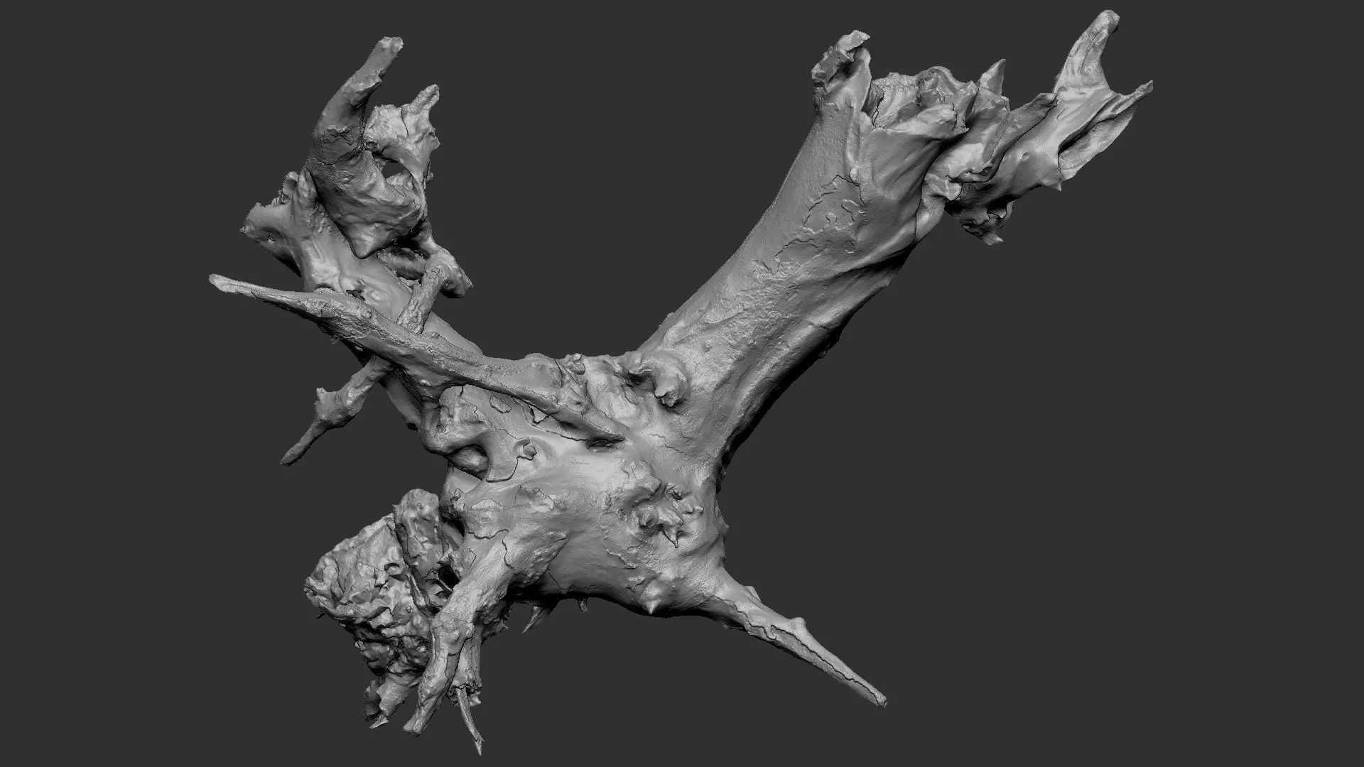Withered tree root wood 3d scan in highpoly 3D model_21