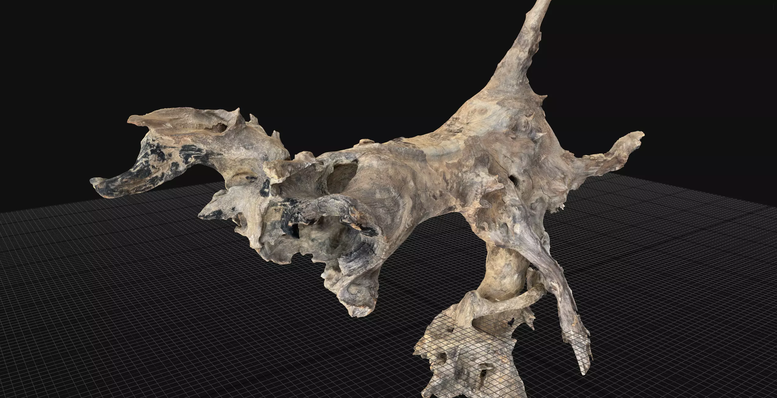 Withered tree root wood 3d scan in highpoly 3D model_14