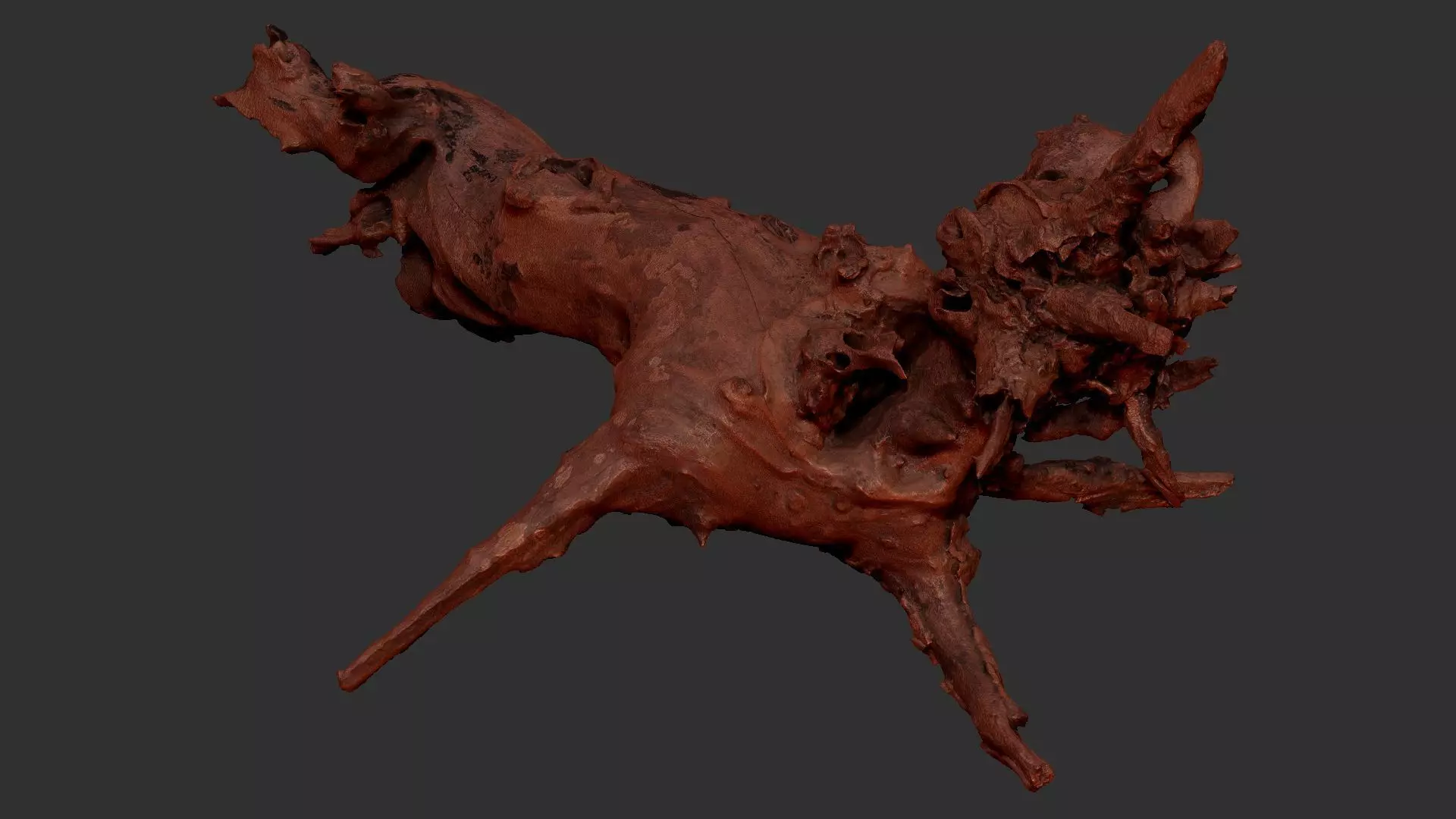 Withered tree root wood 3d scan in highpoly 3D model_10