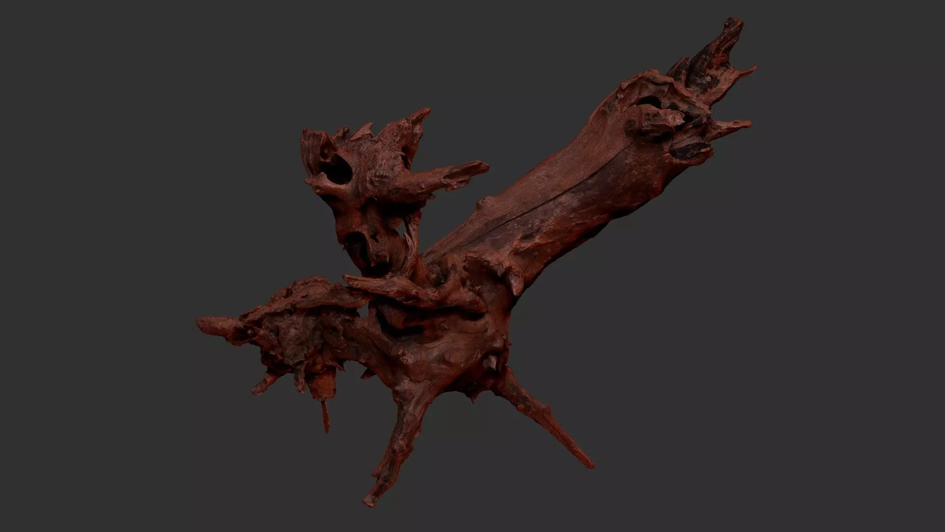 Withered tree root wood 3d scan in highpoly 3D model_11
