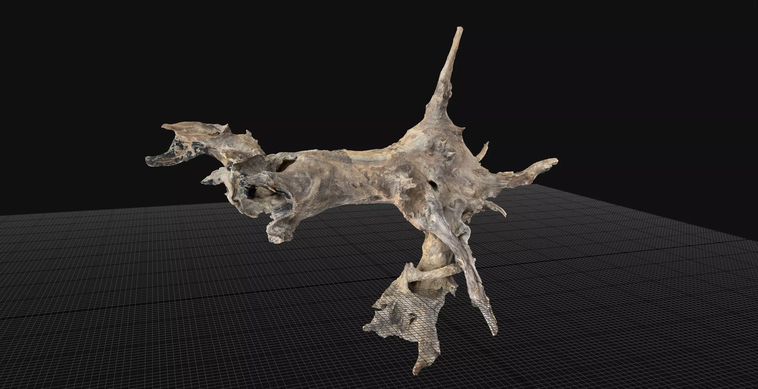 Withered tree root wood 3d scan in highpoly 3D model_5