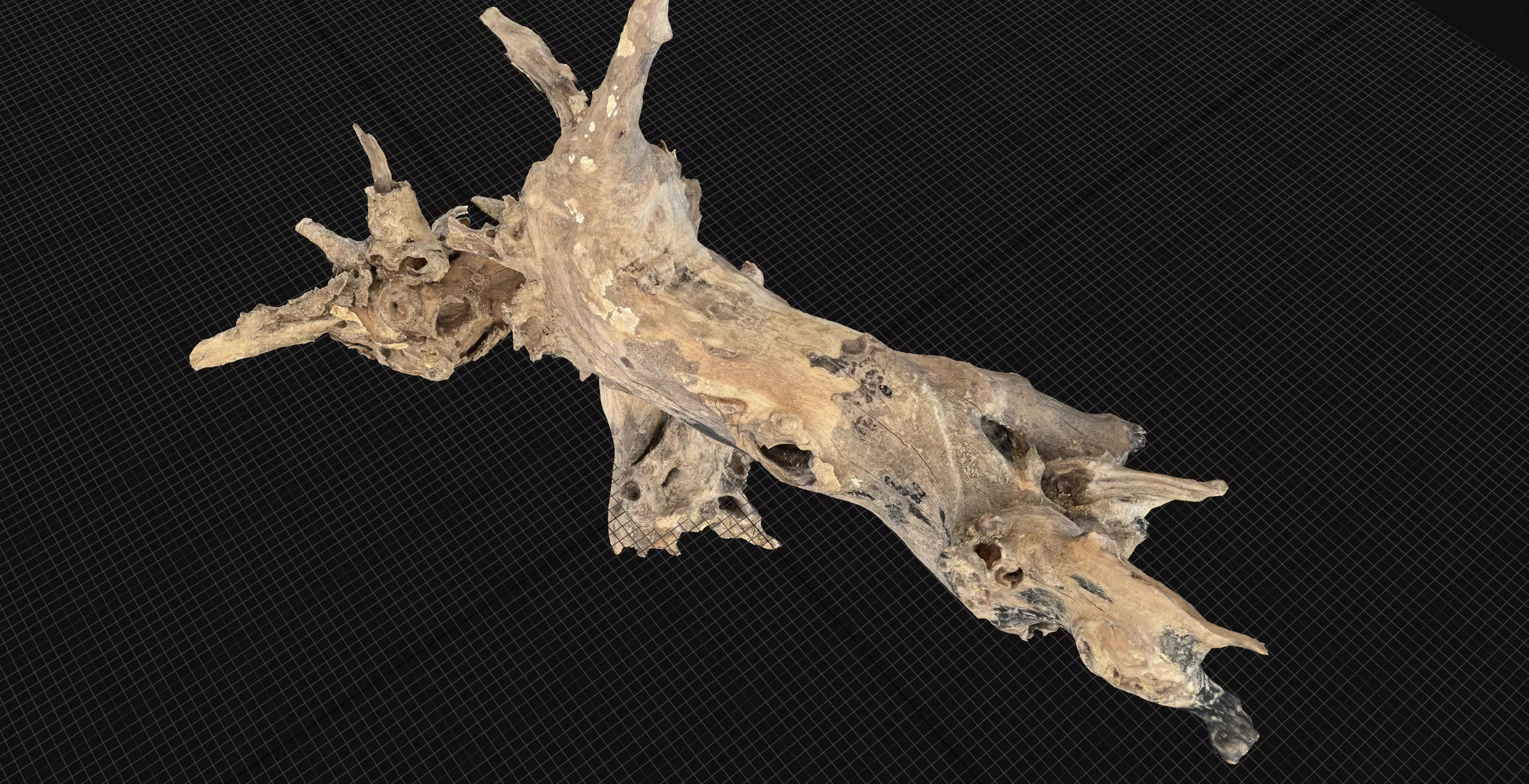Withered tree root wood 3d scan in highpoly 3D model_7