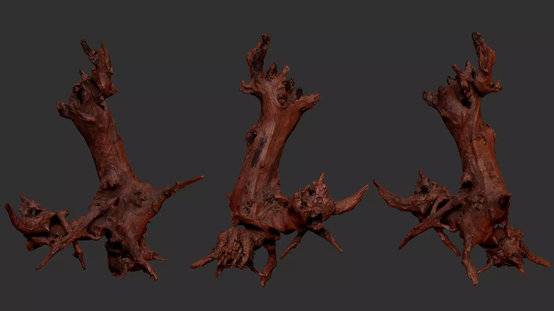 Withered tree root wood 3d scan in highpoly 3D model_1