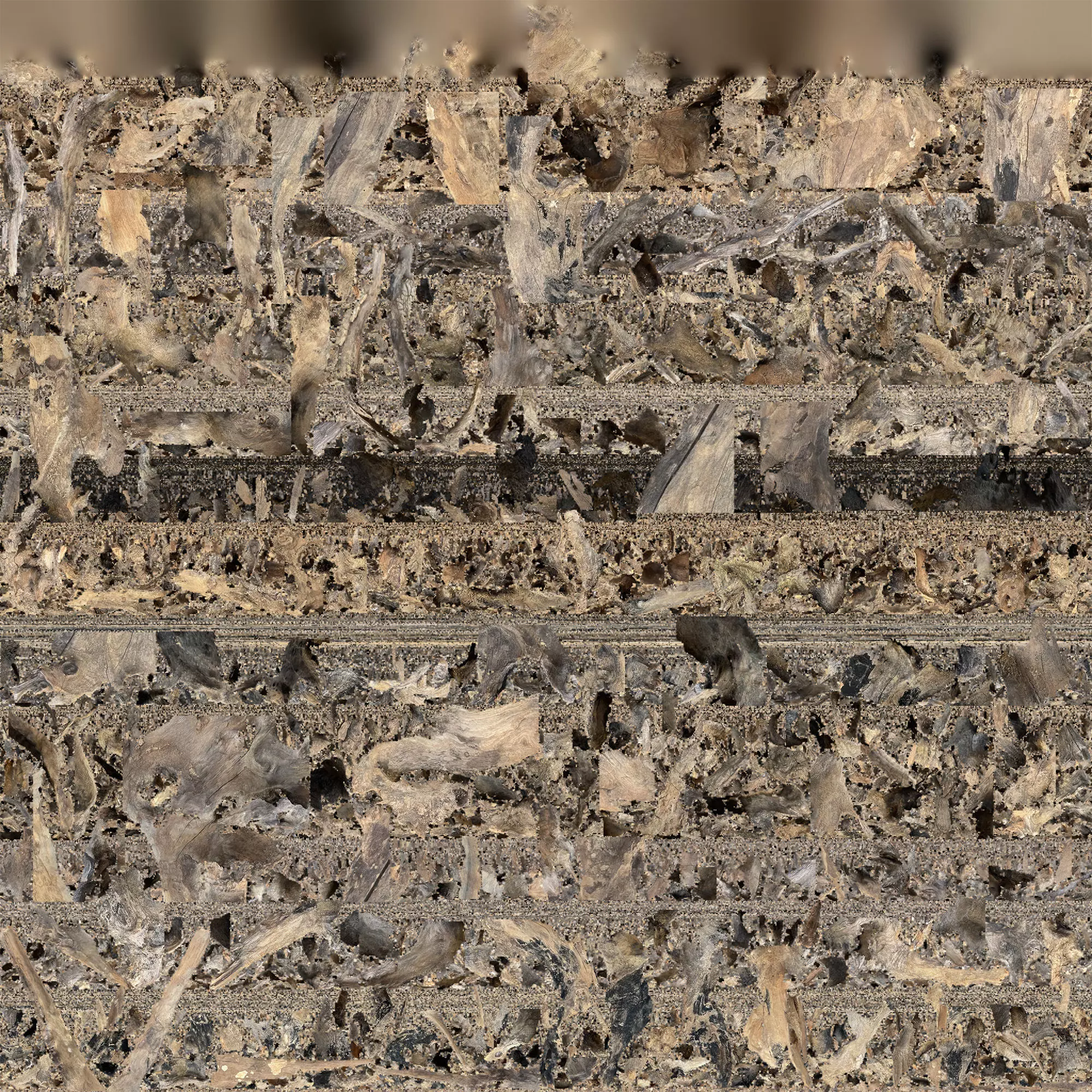 Withered tree root wood 3d scan in highpoly 3D model_26