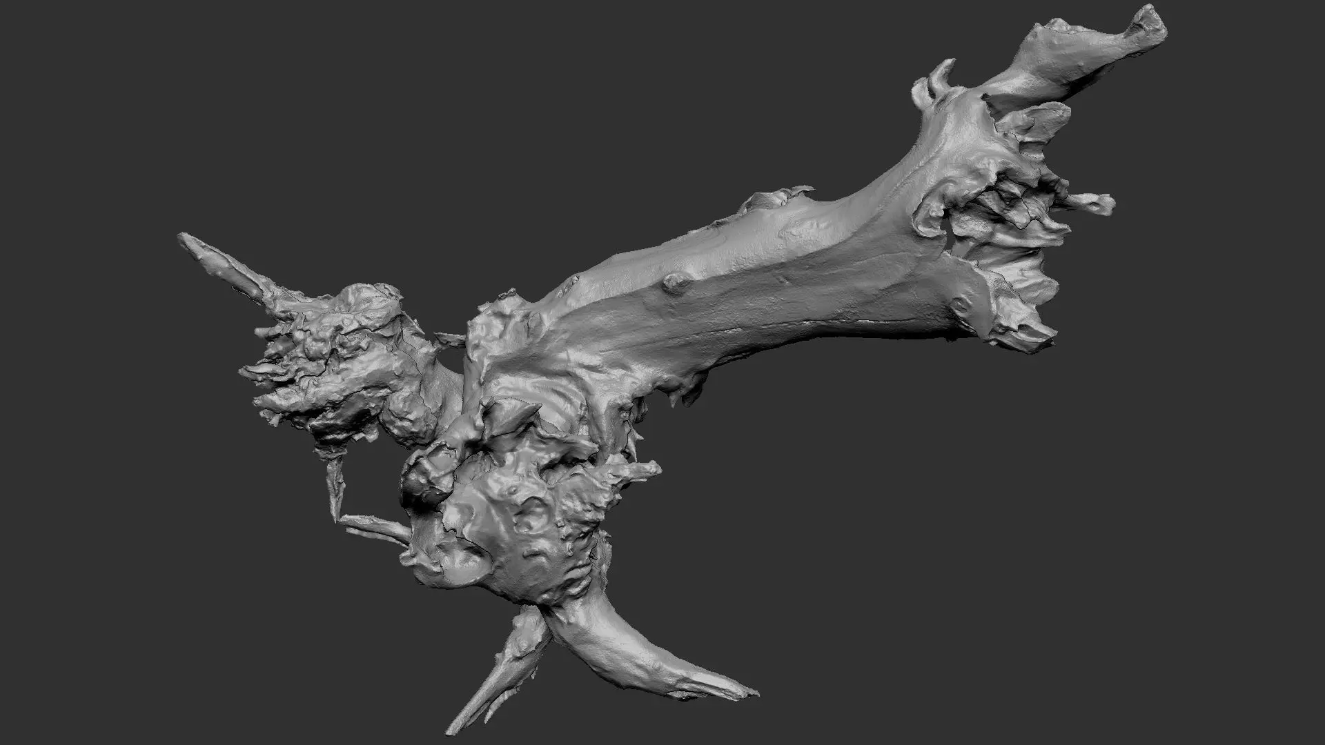 Withered tree root wood 3d scan in highpoly 3D model_20