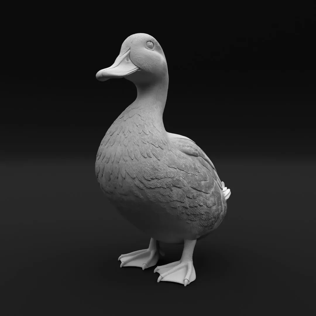 Realistic Duck Standing - 3D Print Model 3D print model_2