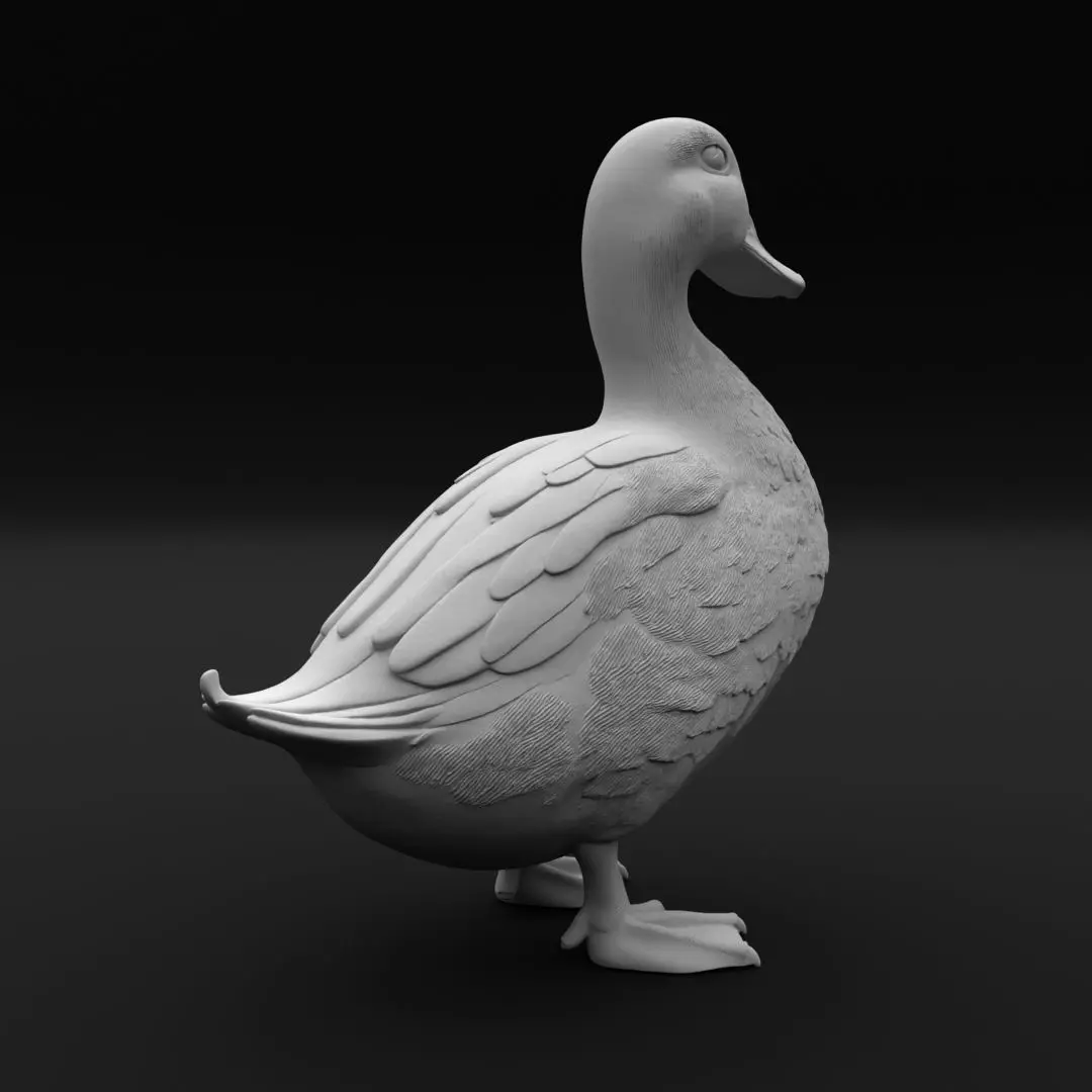 Realistic Duck Standing - 3D Print Model 3D print model_4